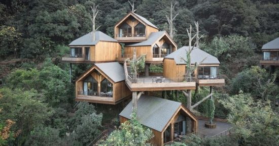 Hotéis em árvores