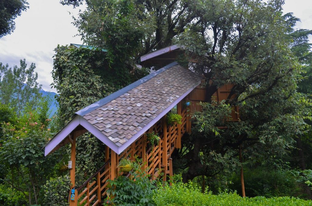 Manali Tree House Cottages in Kulu India