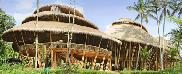 Jungle bamboo house