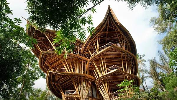 Jungle bamboo house