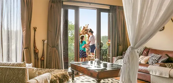 Giraffe safari accommodation