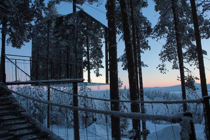 Hidden glass treehouse
